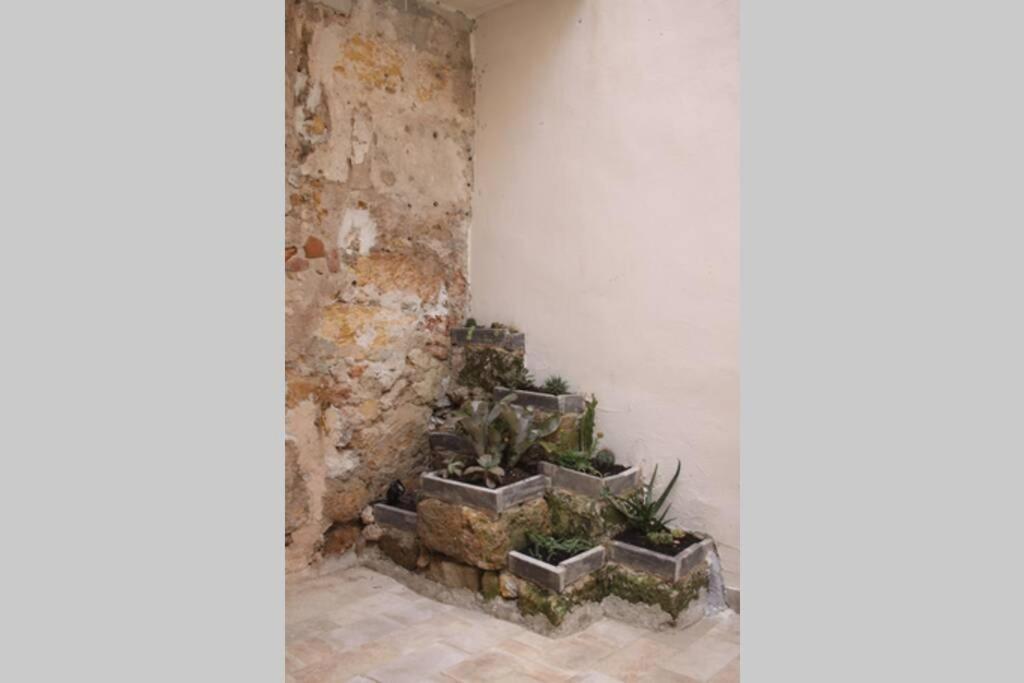 Tufoletto Apartment Palermo Eksteriør billede